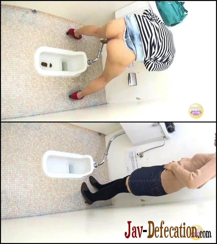BFNS-05 Standing japanese girls shitting in toilet (2018 | HD)