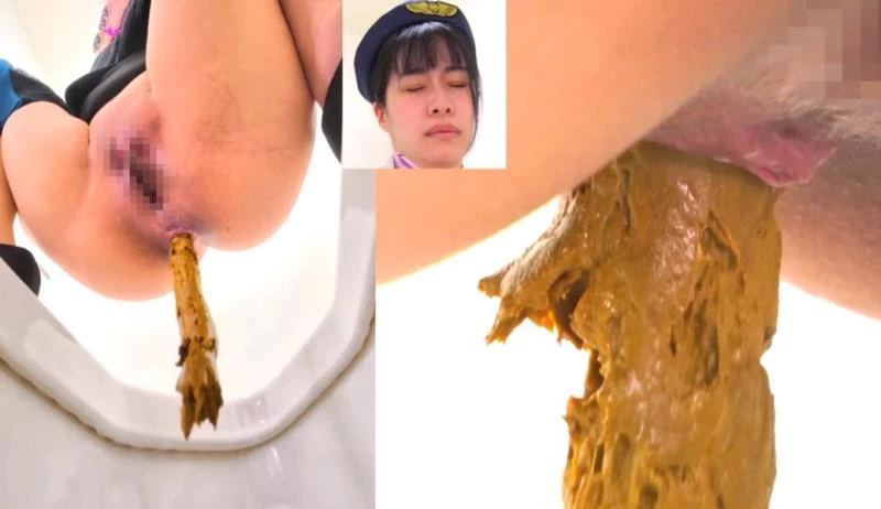 BFEE-301 Long Shit on Western and Japanese Style Toilets (2025 | FullHD)