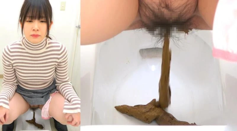 BFSR-704 洋式トイレと和式トイレにウンコをする Farting and Shitting in the Toilet (2025 | FullHD)