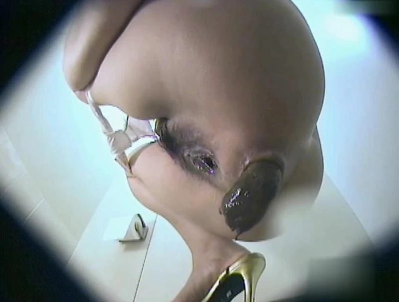 BFJP-194 Peeing and Shitting in Toilet トイレでおしっことうんちをする (2025 | SD)