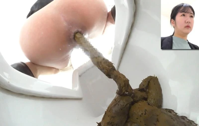 BFEE-312 Shit on Western and Japanese Style Toilets (2026 | FullHD)