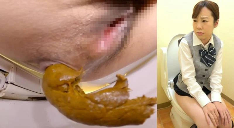 BFSL-317 Defecating in the Toilet トイレで排便する (2026 | FullHD)